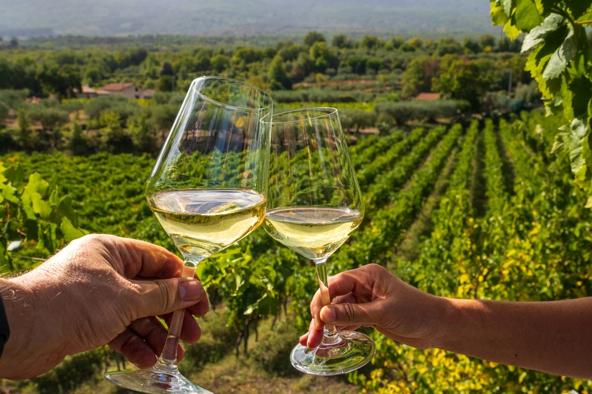 5 vini bianchi Giordano che devi conoscere 5 vini bianchi Giordano che devi conoscere